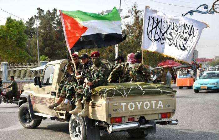 US watchdog: Taliban divert aid by force, sideline minorities, collude with UN officials