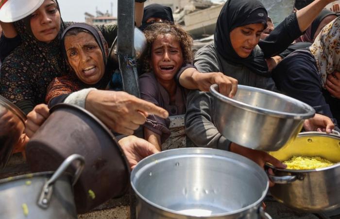 UN says Gaza aid far below survival needs as child malnutrition hits record high