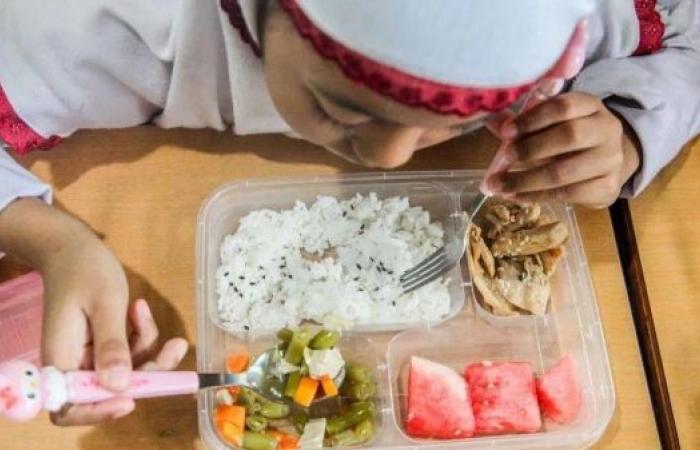 More than 300 ill in Indonesia after eating free school lunches