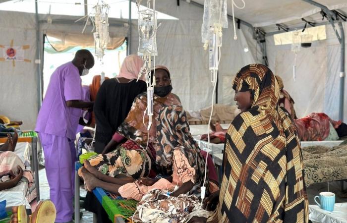 Cholera kills at least 40 in Darfur as Sudan battles worst outbreak in years