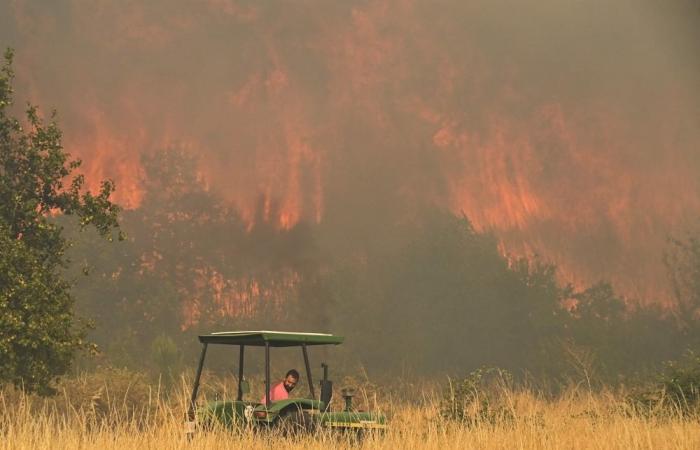 Spain counts third wildfire death as Greece gains ground against Patras blaze