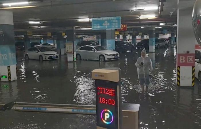Xinhua: Northern China flash flood kills eight