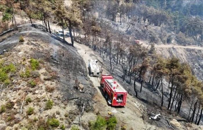 Syria extinguishes Latakia and Hama wildfires after days of efforts