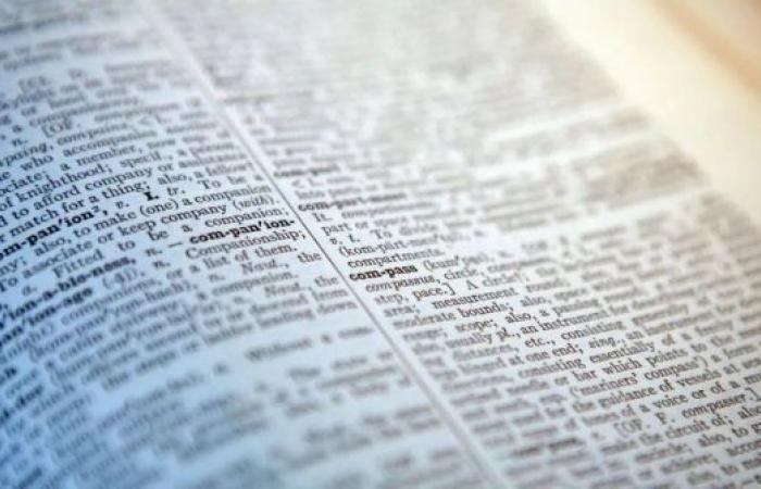 'Skibidi' and 'tradwife' among words added to Cambridge Dictionary