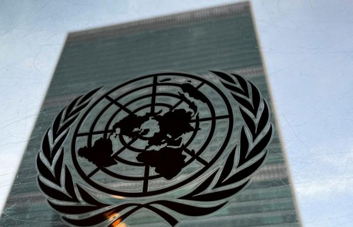 ‘Shameful indictment’: UN says 383 aid workers killed in 2024, most in Gaza and Sudan