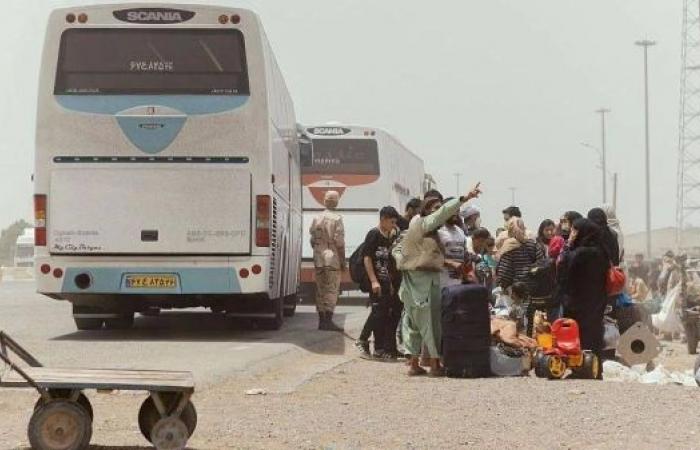 Dozens of Afghan deportees from Iran killed in bus crash