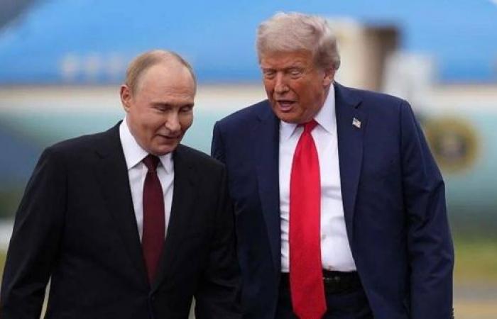 Kremlin plays down Zelensky talks as Trump warns Putin may not want to make deal