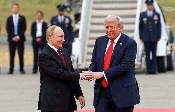 AI fakes cloud Ukraine peace push with Trump-Putin memes