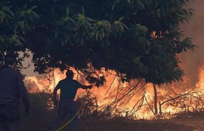 Data shows Europe facing its worst wildfire season in decades