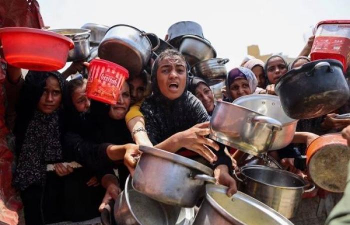 Famine confirmed in Gaza City, UN-backed initiative says
