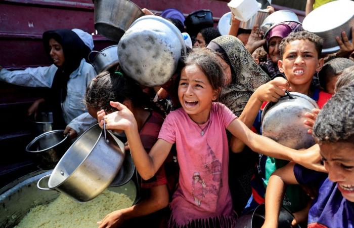 How the IPC global hunger monitor determines famine and why Gaza now meets the criteria