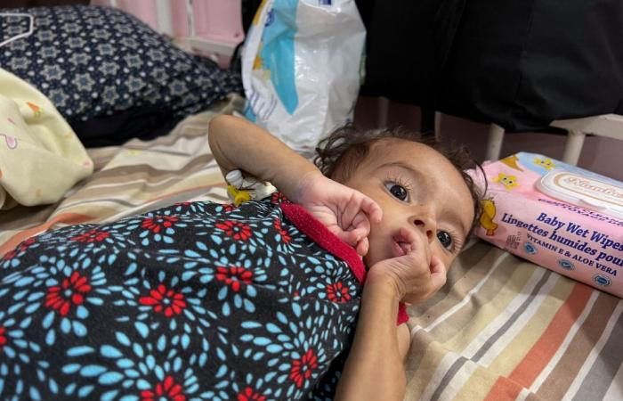 How the IPC global hunger monitor determines famine and why Gaza now meets the criteria