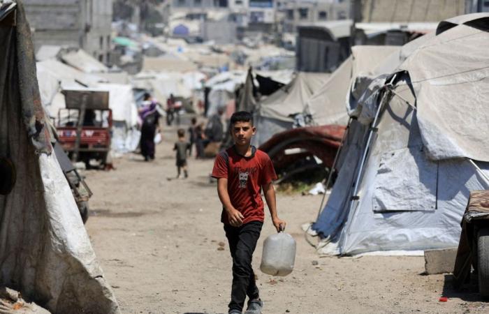 How the IPC global hunger monitor determines famine and why Gaza now meets the criteria