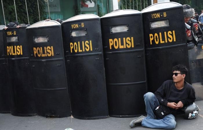 ‘Corrupt elites’ accusation fuels mass protest against Indonesian parliamentarians’ pay