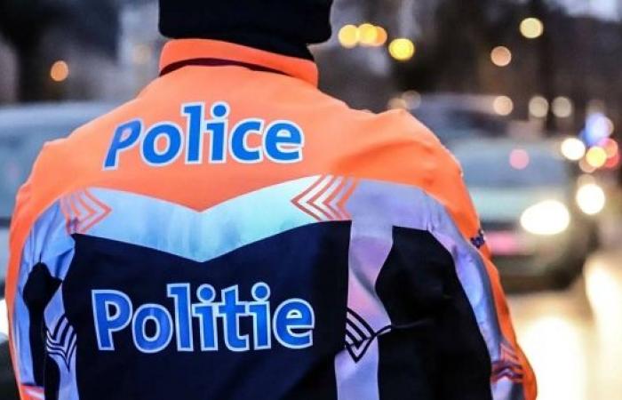 Person stabbed in central Brussels at pro-Palestine demo