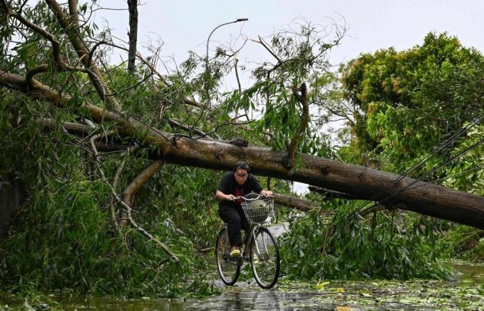 Landslides triggered by Typhoon Kajiki kill two in Thailand