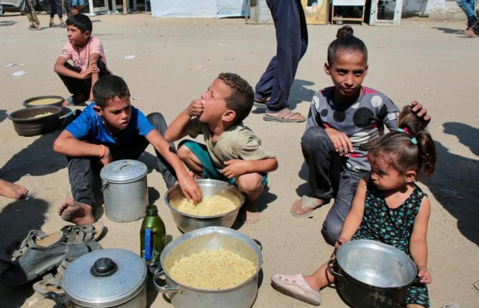 Largest Gaza aid flotilla set to sail from Spain as activists urge Israel to lift blockade