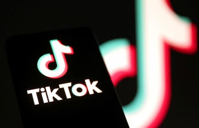 ByteDance tech halts TikTok live in Indonesia ‘for a few days’ over security concerns