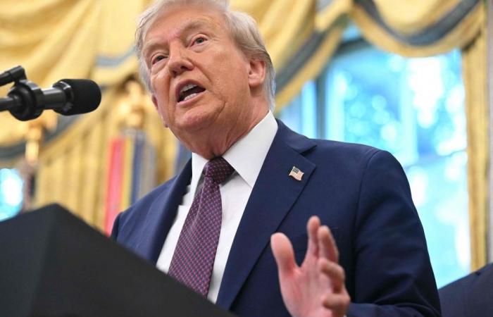 Trump blames AI for viral White House bag video despite official explanation