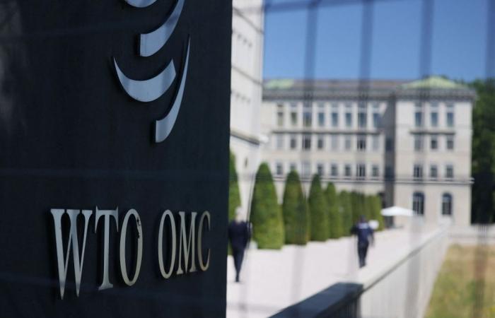Trump pulls the plug on billions in foreign aid, but WTO and ILO make an unexpected escape from the cut list