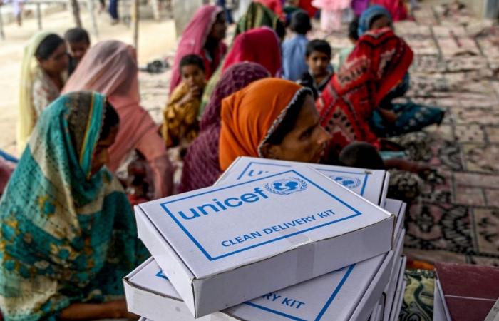 Cooking classes with cheap recipes help Pakistani mothers fight child malnutrition