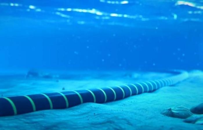Red Sea cable cuts disrupt internet in Asia and Middle East