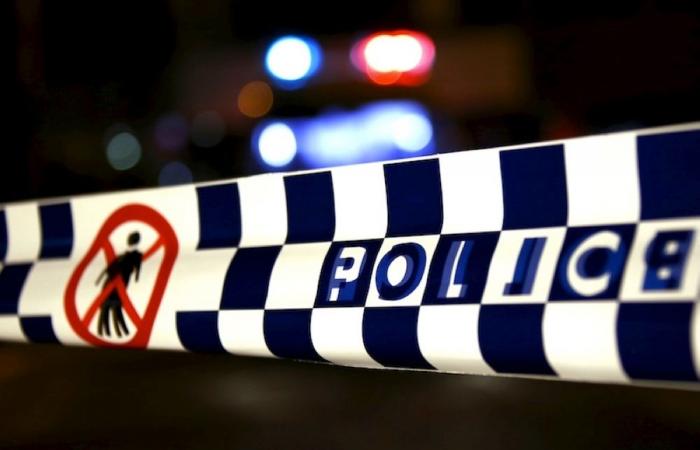Masked gang kills two boys in Melbourne machete attack, police say