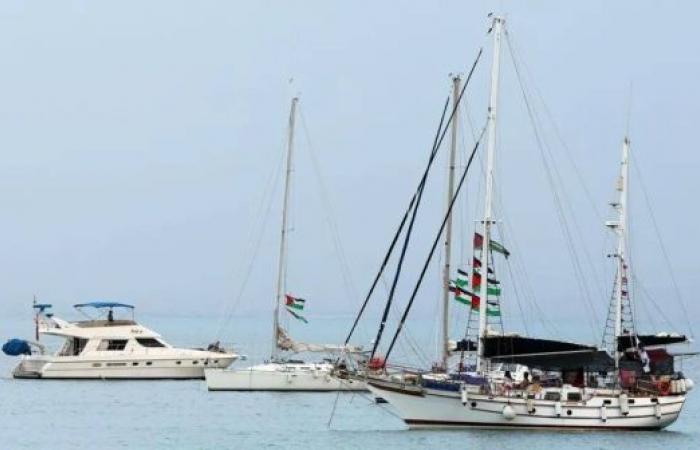 Tunisia denies claims Greta Thunberg's Gaza flotilla was hit by drone