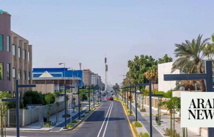 Saudi Arabia’s Eastern Province wins silver award for AI sustainability