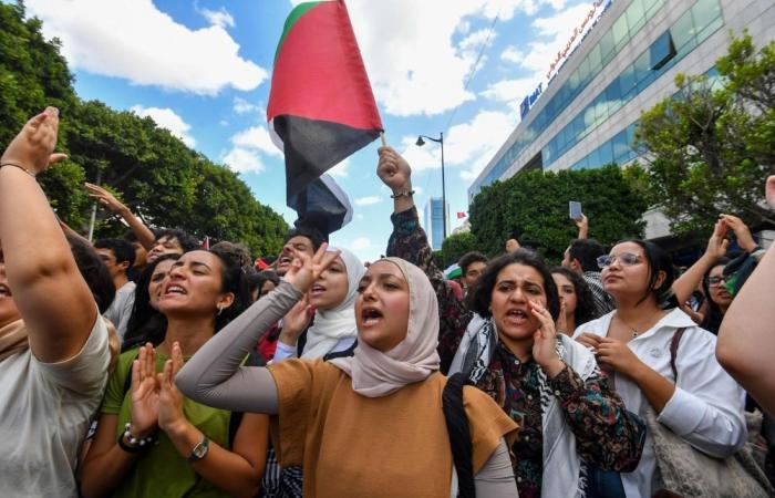 ‘Best chance for peace’: Global leaders back Trump plan after Hamas signals readiness