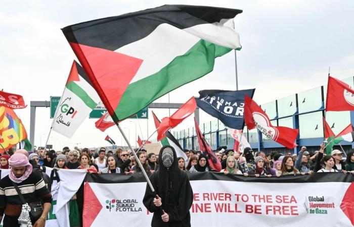 Hundreds of thousands rally across Europe for Gaza ceasefire and flotilla activists