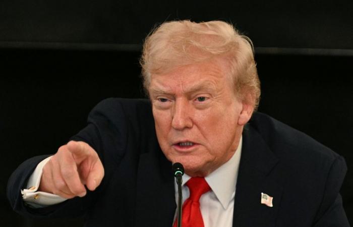Trump calls for jailing of Illinois governor, Chicago mayor amid mass deportation crackdown
