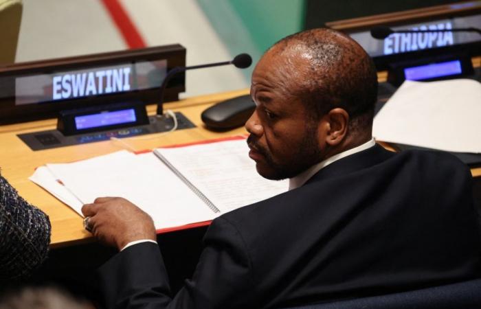 ‘Like human trafficking’: How US deported five men to Eswatini under secretive deal