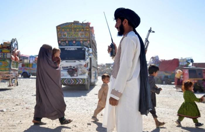 Pakistani Taliban claim wave of attacks that killed 23 as tensions with Kabul escalate