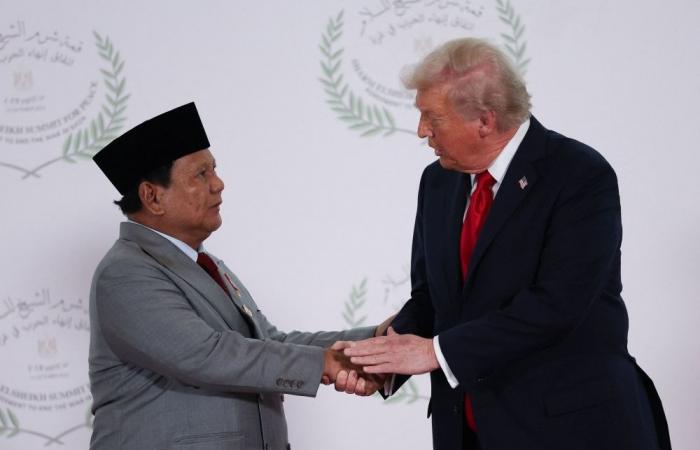 ‘Hot mic’ moment: Indonesian president Prabowo caught asking Trump to set up meeting with son Eric