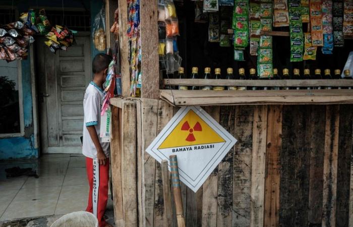 Indonesia finds radiation traces at Sumatra clove farm as Caesium-137 probe widens