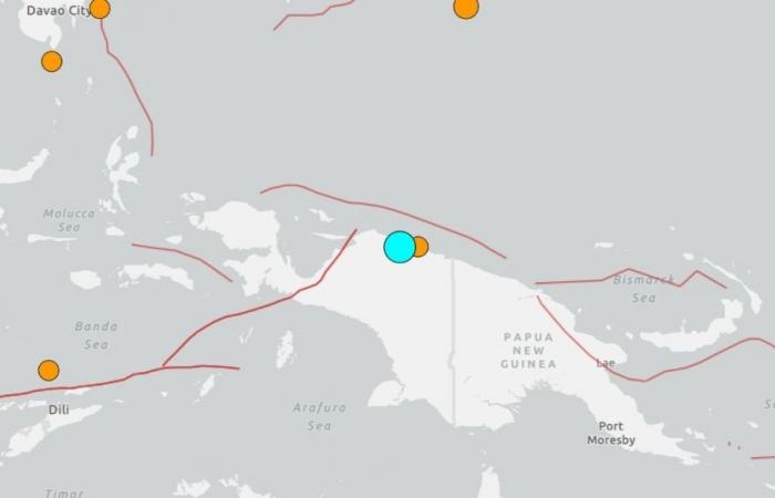 Strong earthquake shakes eastern Indonesia’s Papua, residents on alert