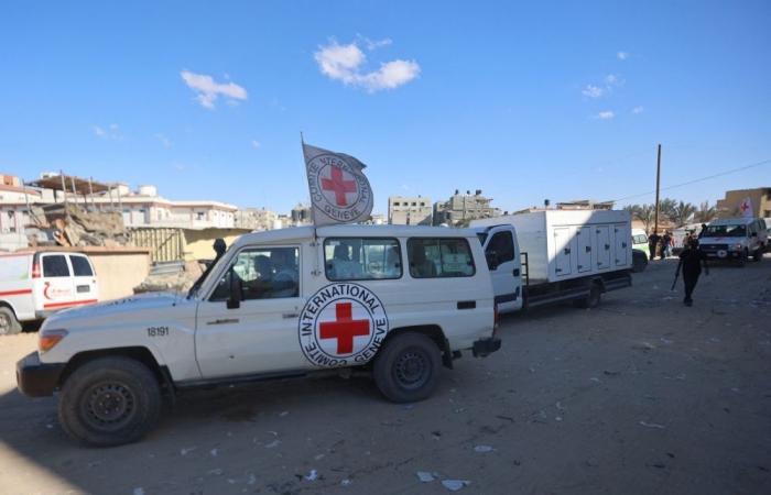 Gaza doctors allege torture, execution after examining 90 bodies returned by Israel