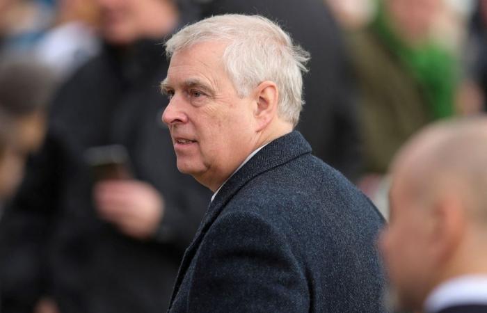 UK’s Prince Andrew allegedly sought police help to smear accuser by sharing Giuffre’s data with palace aide, says report