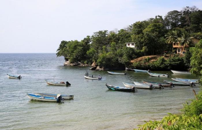 How many US strikes on boats near Venezuela have there been?