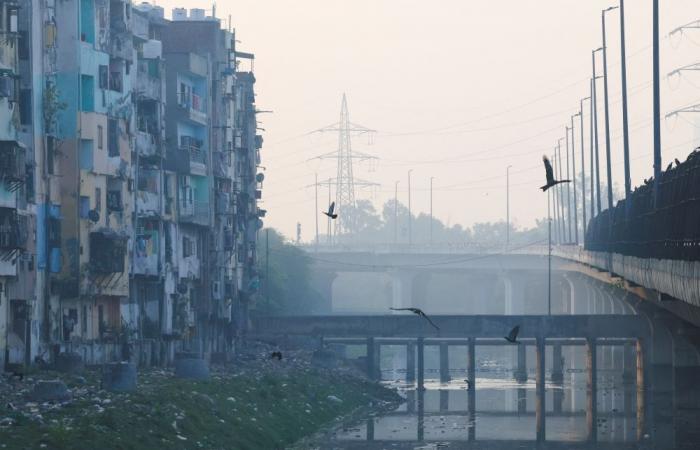 New Delhi choked by smog 16 times above WHO limit as pollution surges after Deepavali fireworks