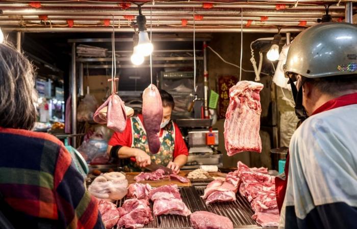 Taiwan culls pigs after first African swine fever case detected on island