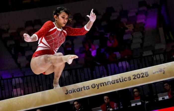 Indonesia defiant after IOC urges sports boycott over Israeli athlete ban