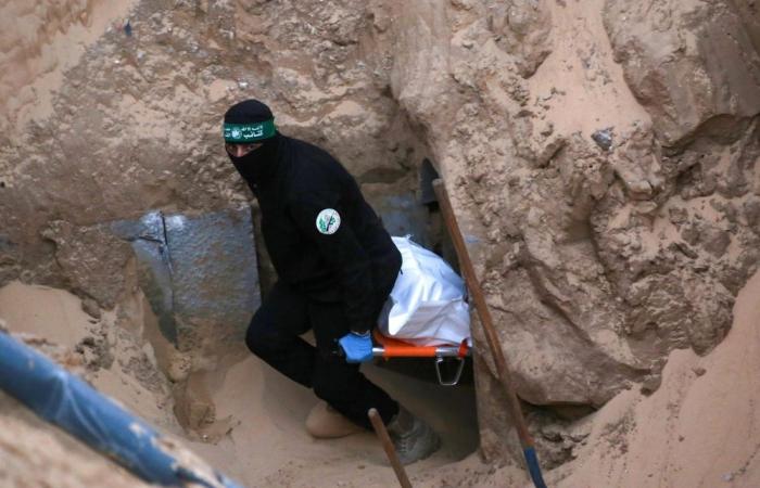 Trump says Gaza truce to hold despite deadly Israeli strikes