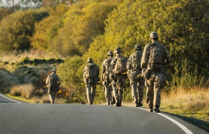 British Army ex-officer jailed for sexually assaulting soldier before her death