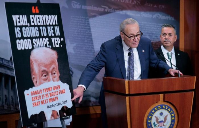 US government shutdown crisis deepens as food aid and air travel grind to a halt