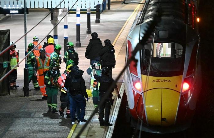 ‘Blood everywhere’: UK police arrest two after multiple people stabbed on train