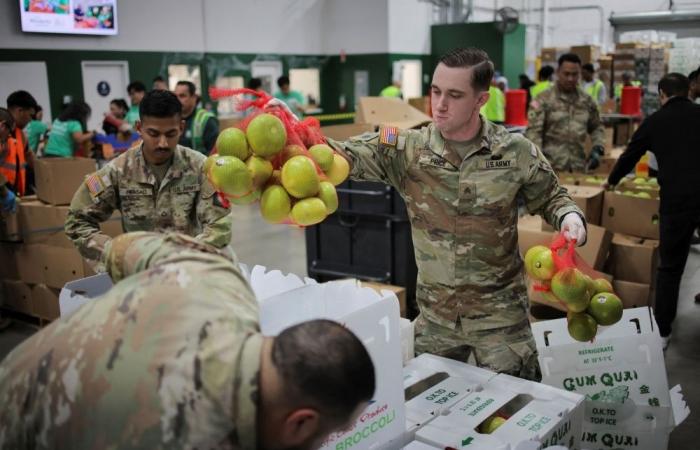Millions to get reduced food aid as US shutdown drags into record 36th day