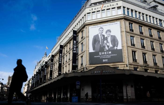 Shein bans sex dolls worldwide after French outrage over ‘childlike’ products