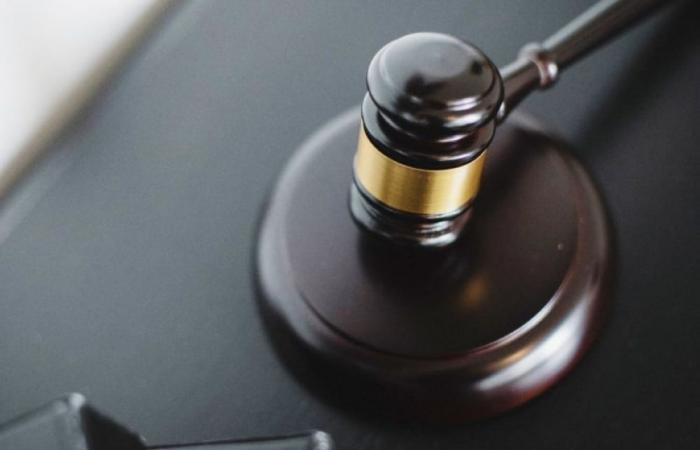 Former New Zealand deputy police commissioner admits possessing child sexual exploitation and bestiality material